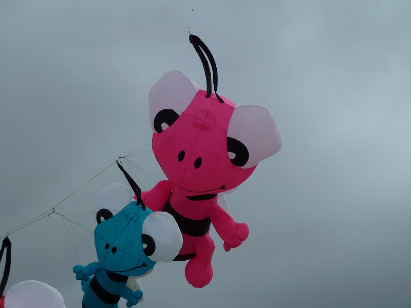 Fanø 2010 103.JPG
